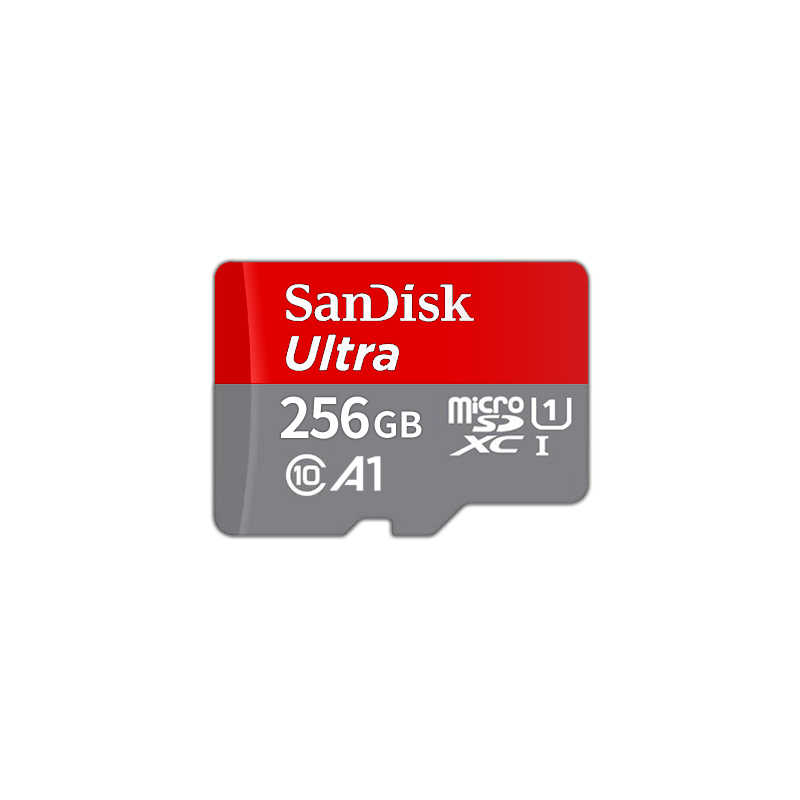 SanDisk 防水防摔 C10記憶卡 256G