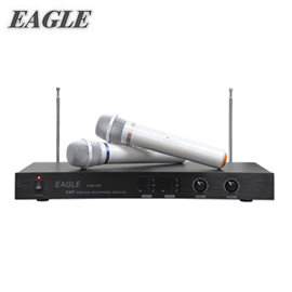 EAGLE 專業雙頻無線麥克風組(EWM-P28)