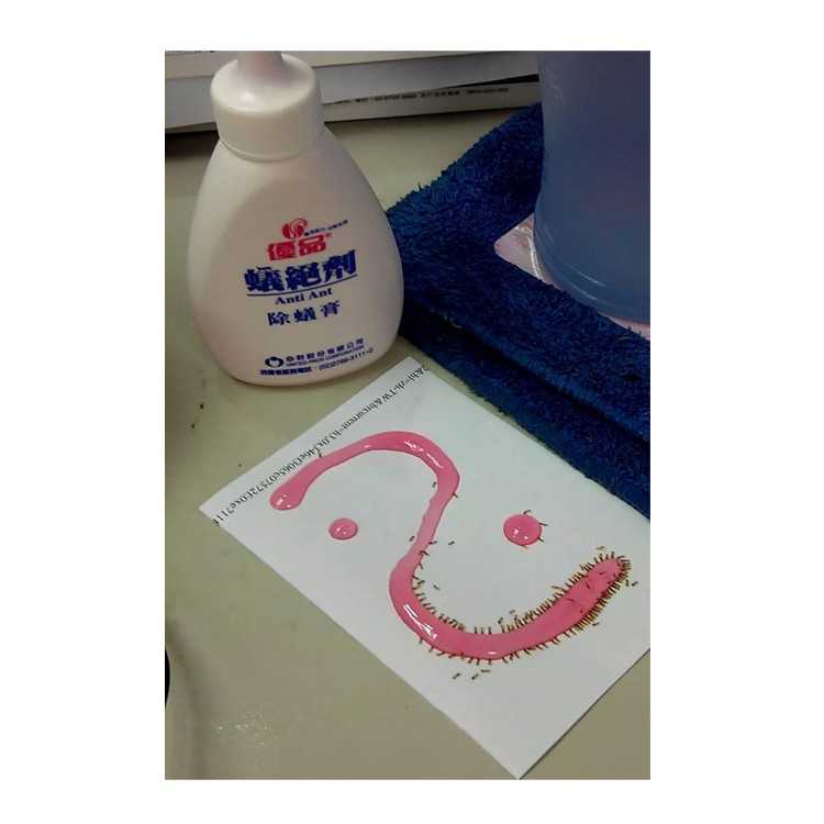 【優品】蟻絕劑除蟻膏80g