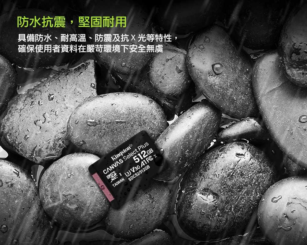 終身保固 [100MB/s] Kingston 金士頓 256GB micro SDXC TF U3