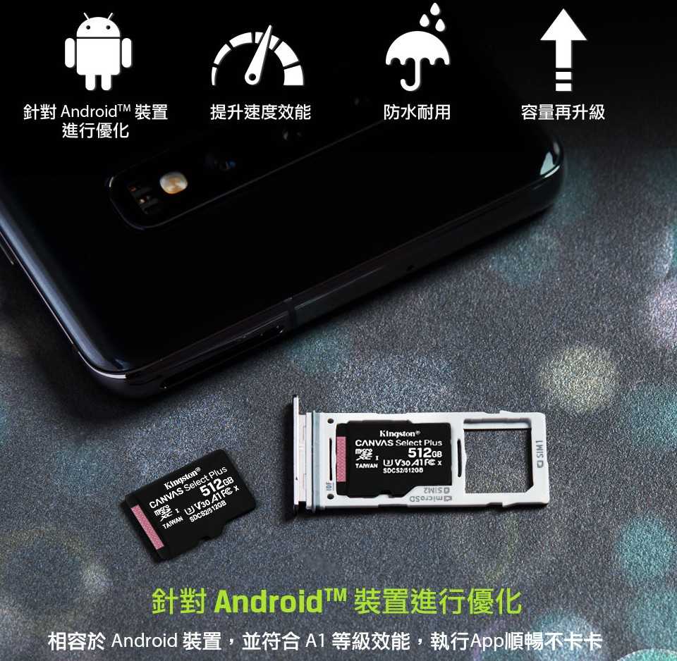 終身保固 [100MB/s] Kingston 金士頓 256GB micro SDXC TF U3