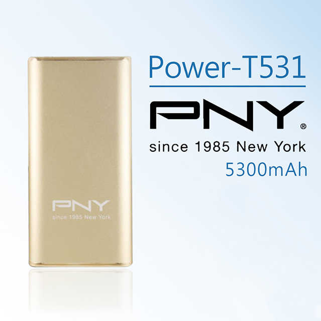 PNY T531 5300mAh 金屬質感行動電源