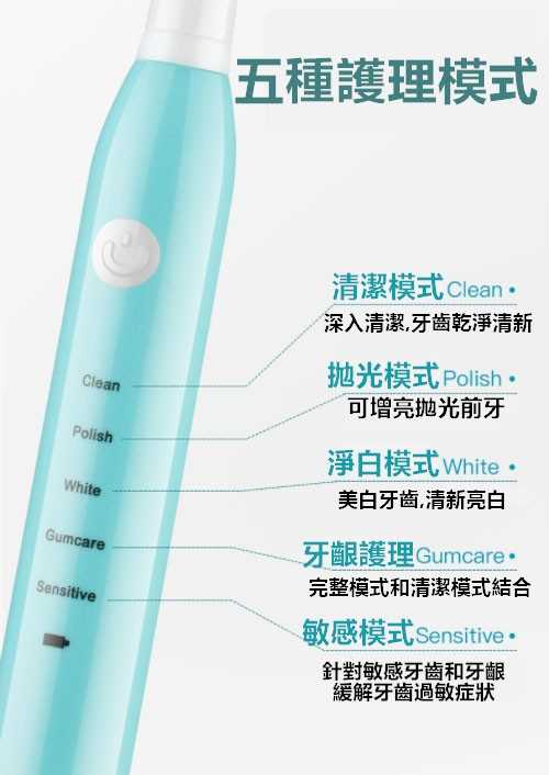電動牙刷 五種清潔模式 附4刷頭 聲波牙刷 IPX7防水 USB充電【RS1004】