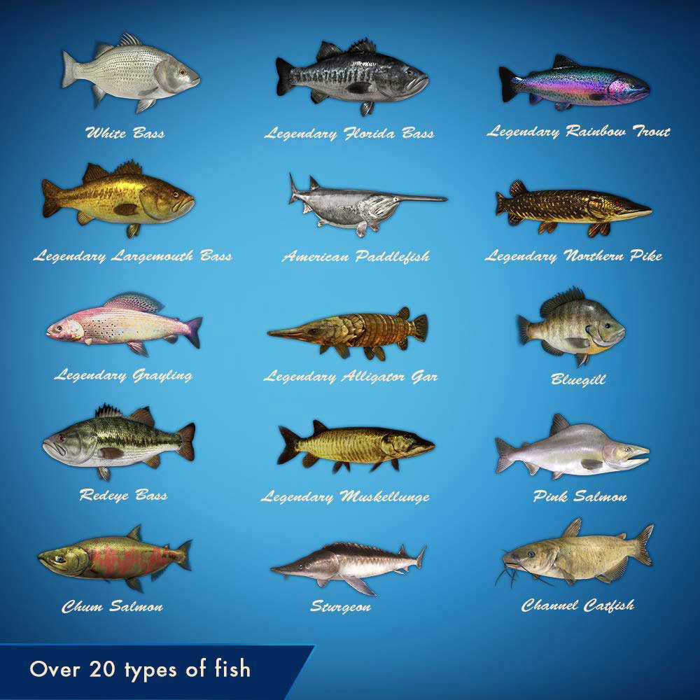 【一起玩】 NS SWITCH 傳奇小釣手 (傳奇釣魚) 中英日文美版 Legendary Fishing