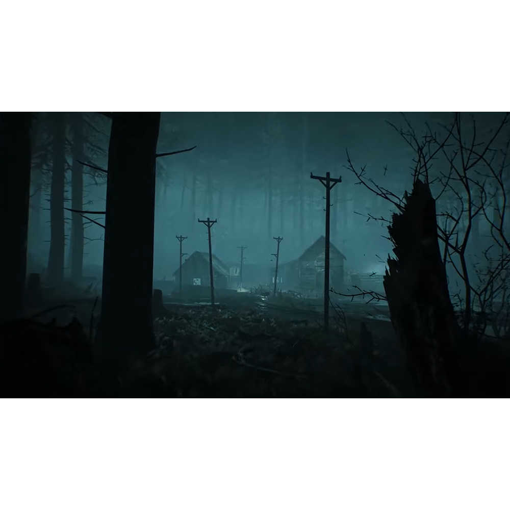 【一起玩】PS4 厄夜叢林 英文歐版 Blair Witch