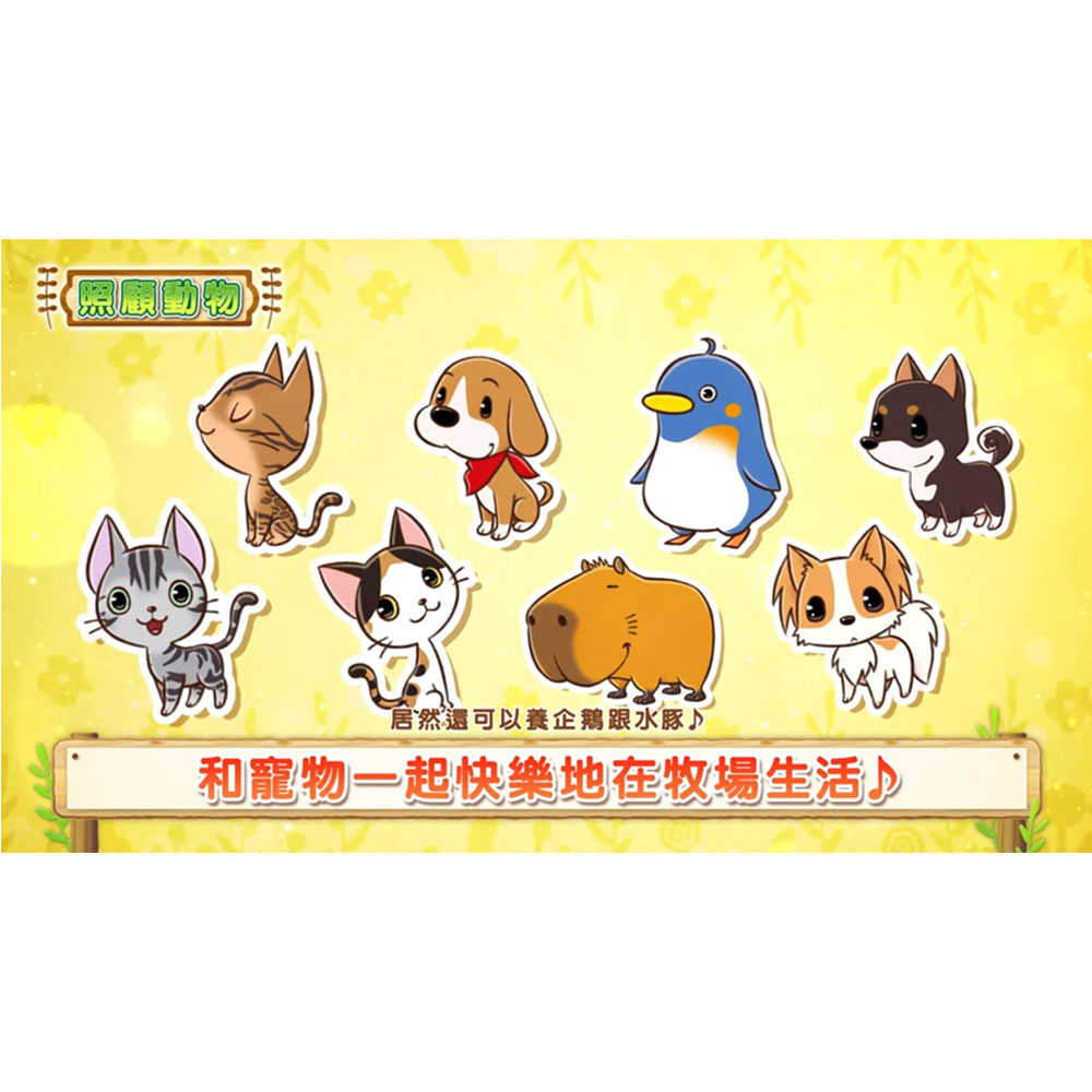 (現貨全新) NS SWITCH 牧場物語 重聚礦石鎮 中文版 STORY OF SEASONS: