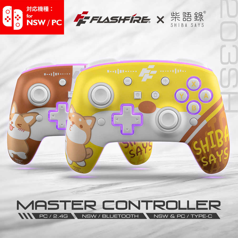 【一起玩】Flashfire Switch / PC 無線遊戲手把 柴語錄 藍芽 巨集 連發 電腦手把 搖桿