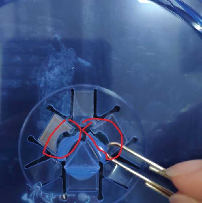 IMG_20220713_1528103