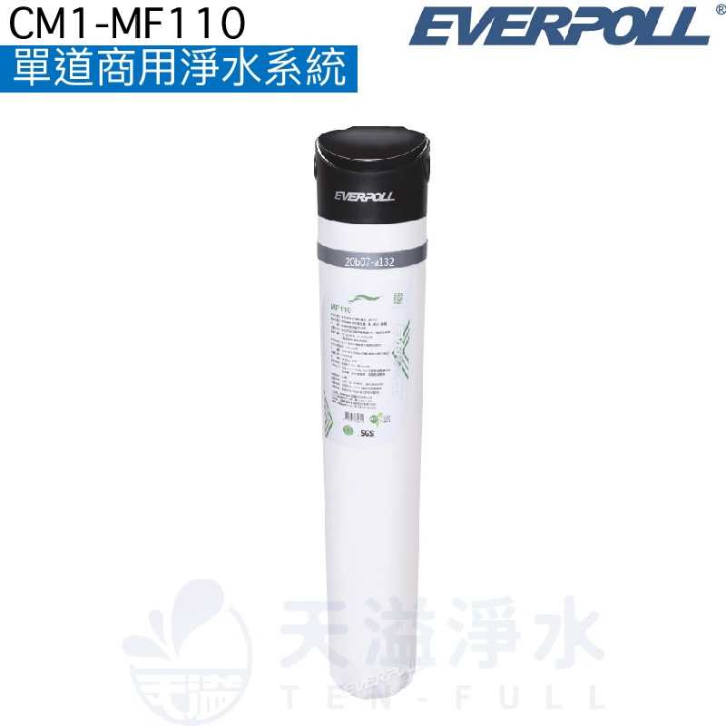 【EVERPOLL】單道商用淨水系統CM1-MF110【包裝飲用水潔淨標準】【贈全台安裝】