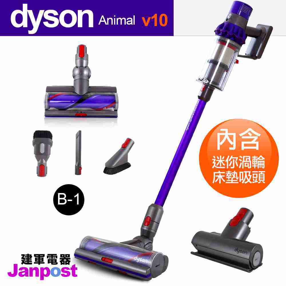 【建軍電器】Dyson Cyclone V10 Animal 紫色款 (加強版) 一年保固