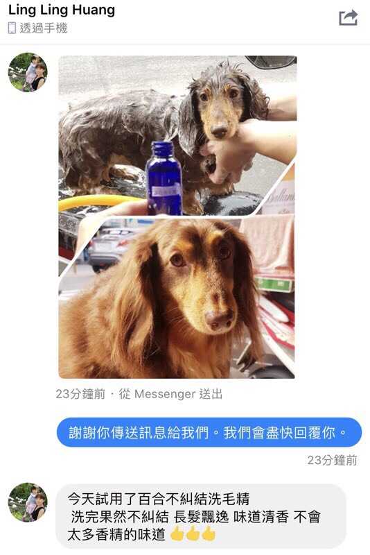 寵物玻尿酸百合洗毛精+寵物清新潔牙噴霧劑 二合一優惠組【貓狗大讚現貨供應中】