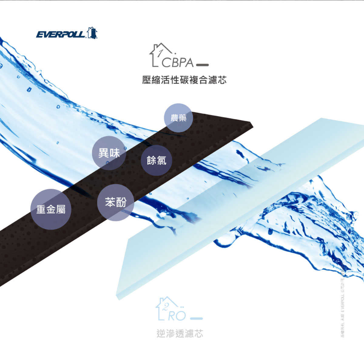 【EVERPOLL】RO-800PP RO 800PP 800 CBPA 壓縮活性碳複合濾芯 濾心