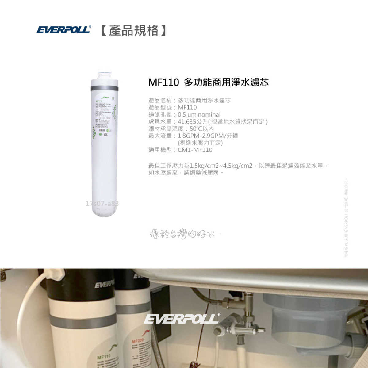 【EVERPOLL】 MF110 多功能商用淨水濾芯