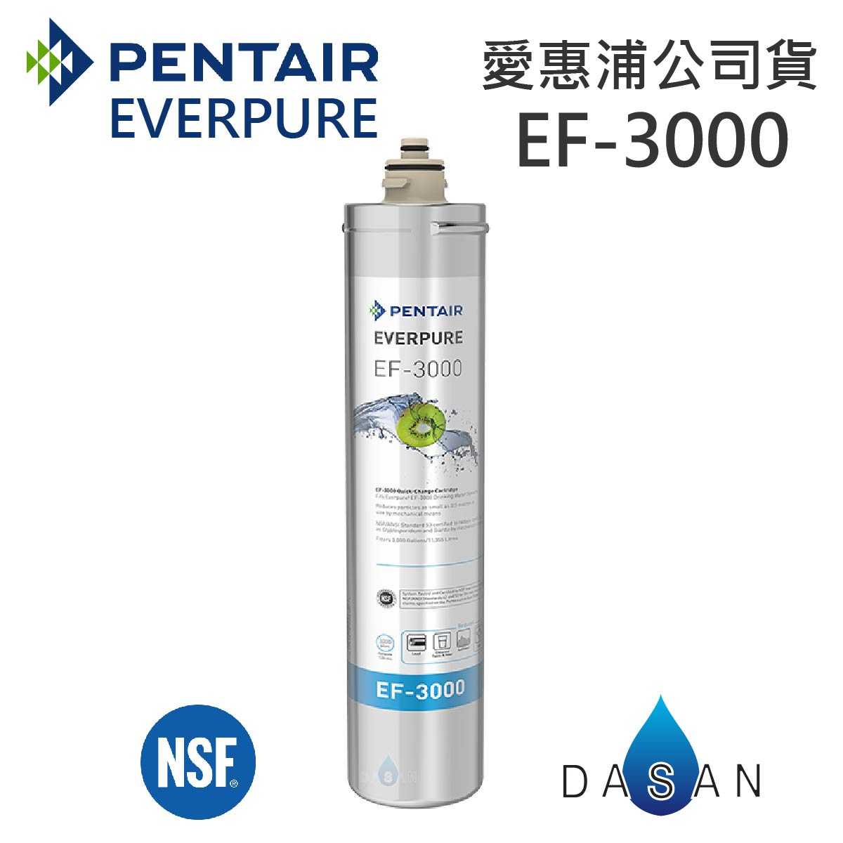 【台灣愛惠浦】EF-3000 EF3000 濕式碳纖活性碳 金色雷射標籤 EVERPURE 濾芯