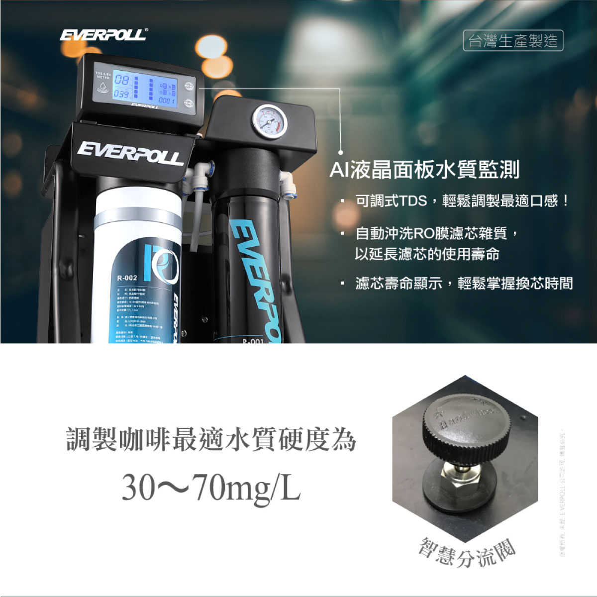 【EVERPOLL】RO-900S AI可調直出式RO純水機 RO900S 900S 大出水 可調TDS