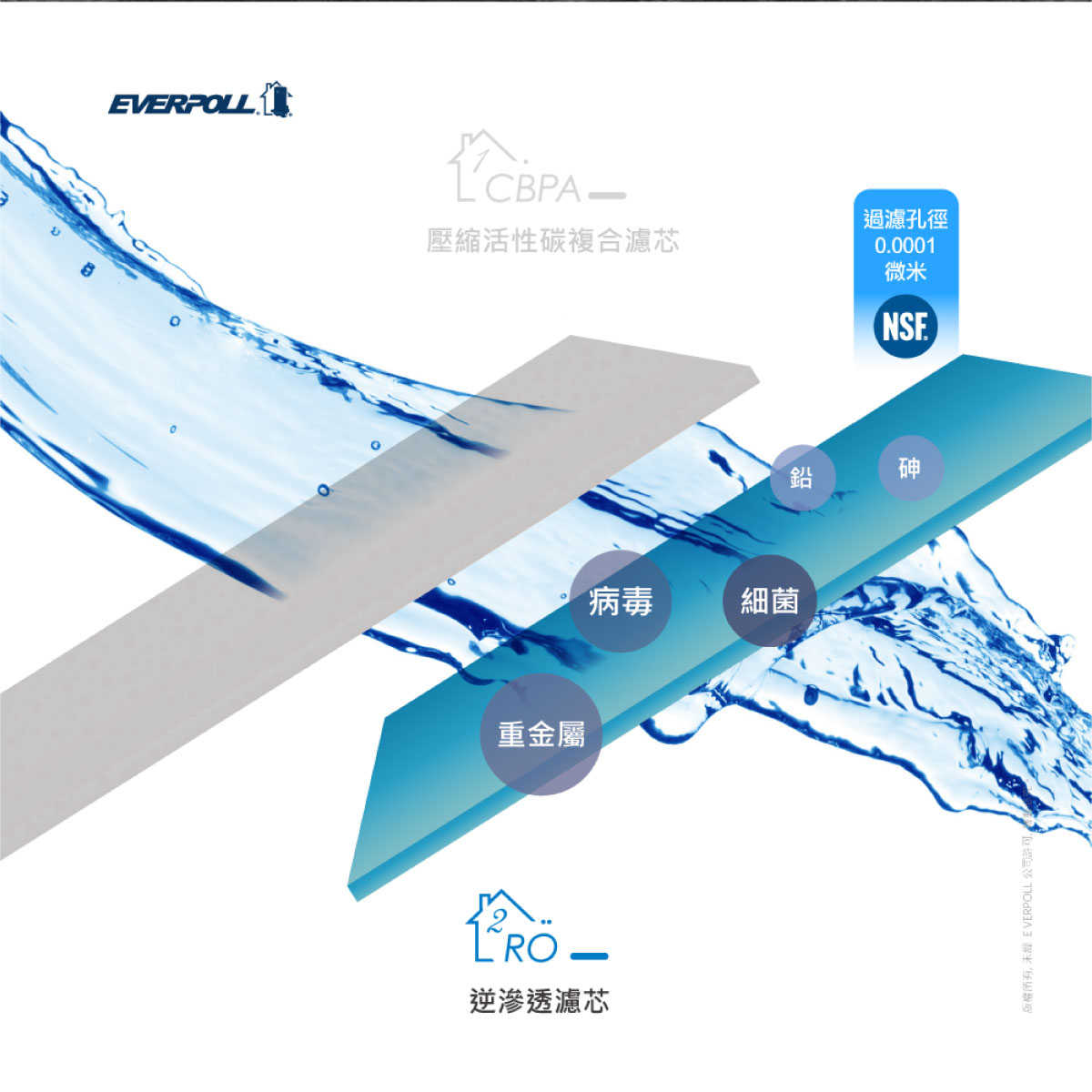 【EVERPOLL】 RO-800RO 逆滲透濾芯 RO-800G專用 RO800 800 RO 逆滲透濾芯
