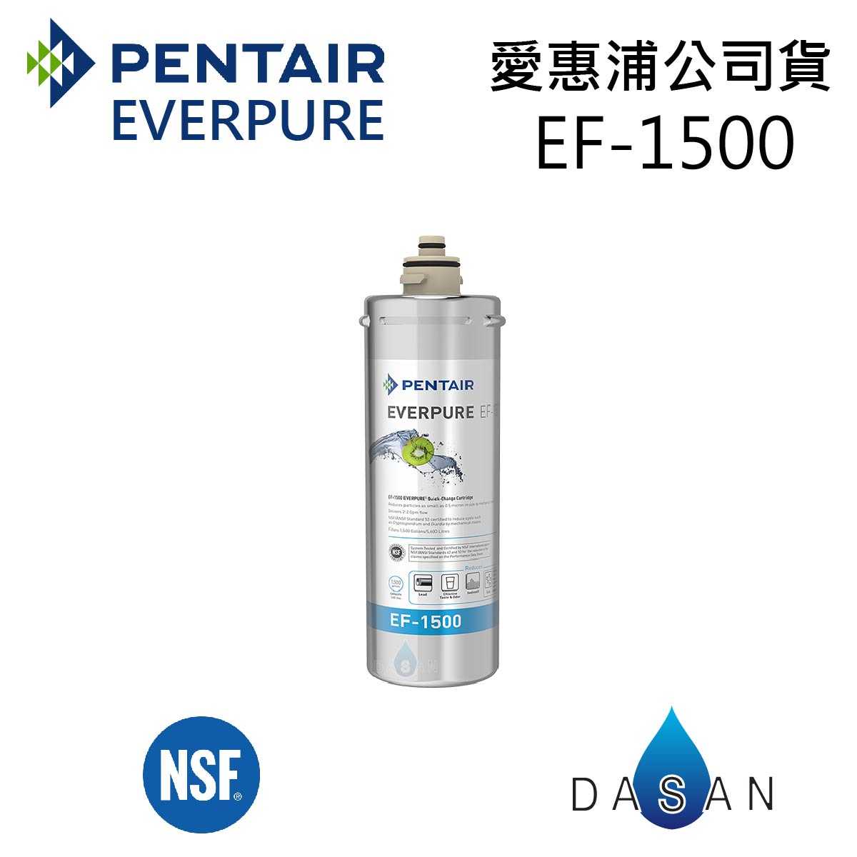 【台灣愛惠浦】EF-1500 EF1500 濕式碳纖活性碳 原廠公司貨 EVERPURE 濾芯