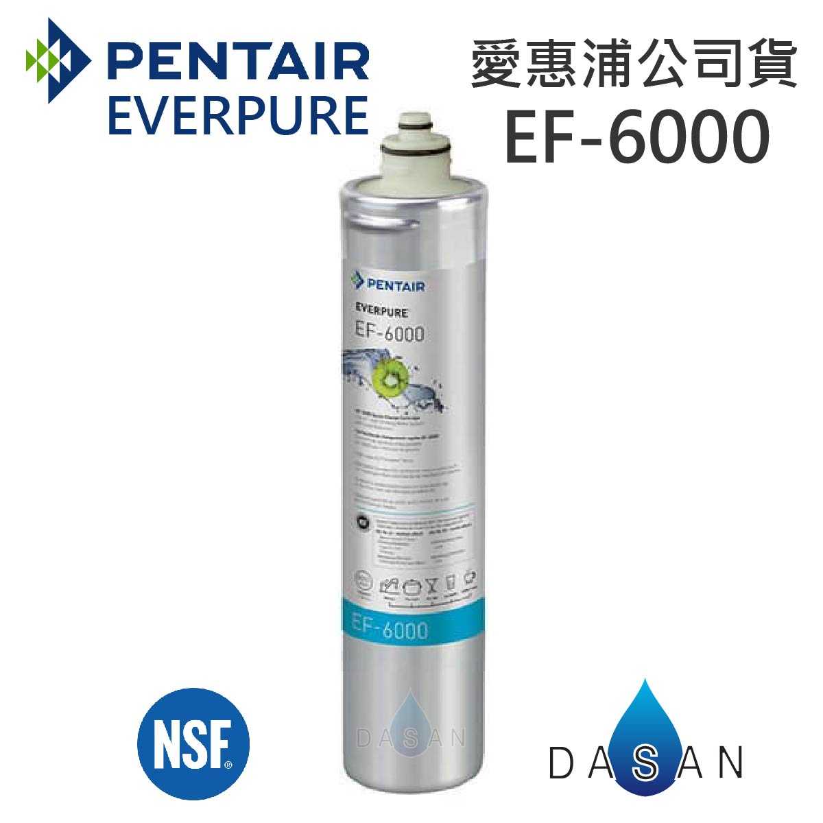 【台灣愛惠浦】EF-6000 EF6000 濕式碳纖活性碳 金色雷射標籤 EVERPURE 濾芯