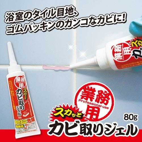 【AIMEDIA艾美迪雅】浴室專用去黴凝膠 80g-日本製