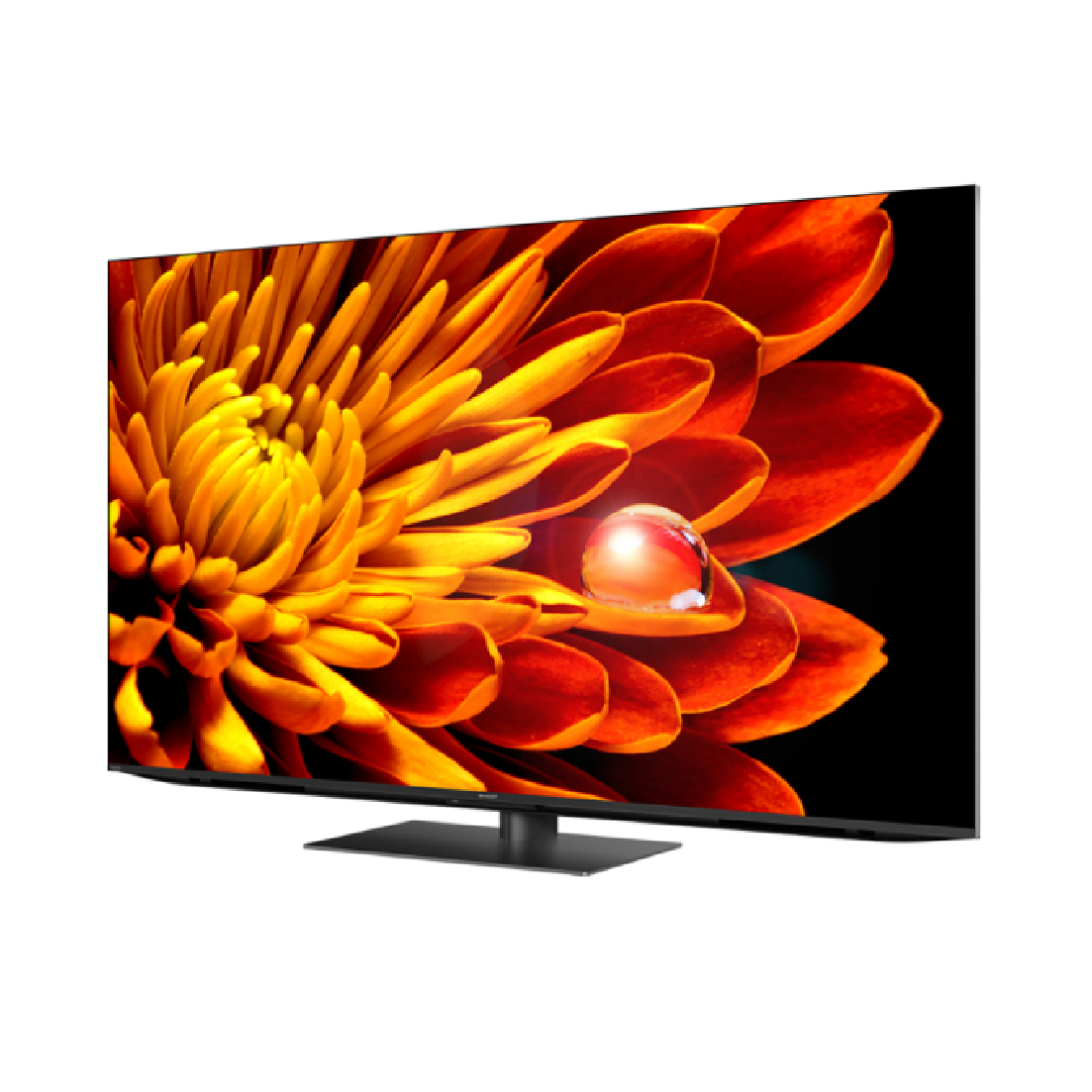 SHARP 夏普 4T-C75FV1X 75吋 杜比音效 4K 120Hz 智慧連網 液晶顯示器 | 金曲音響