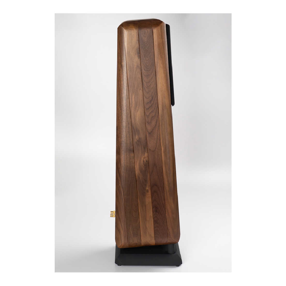 Chario CYGNUS MKII 天鵝星座 胡桃實木 落地型 喇叭  揚聲器 | 金曲音響