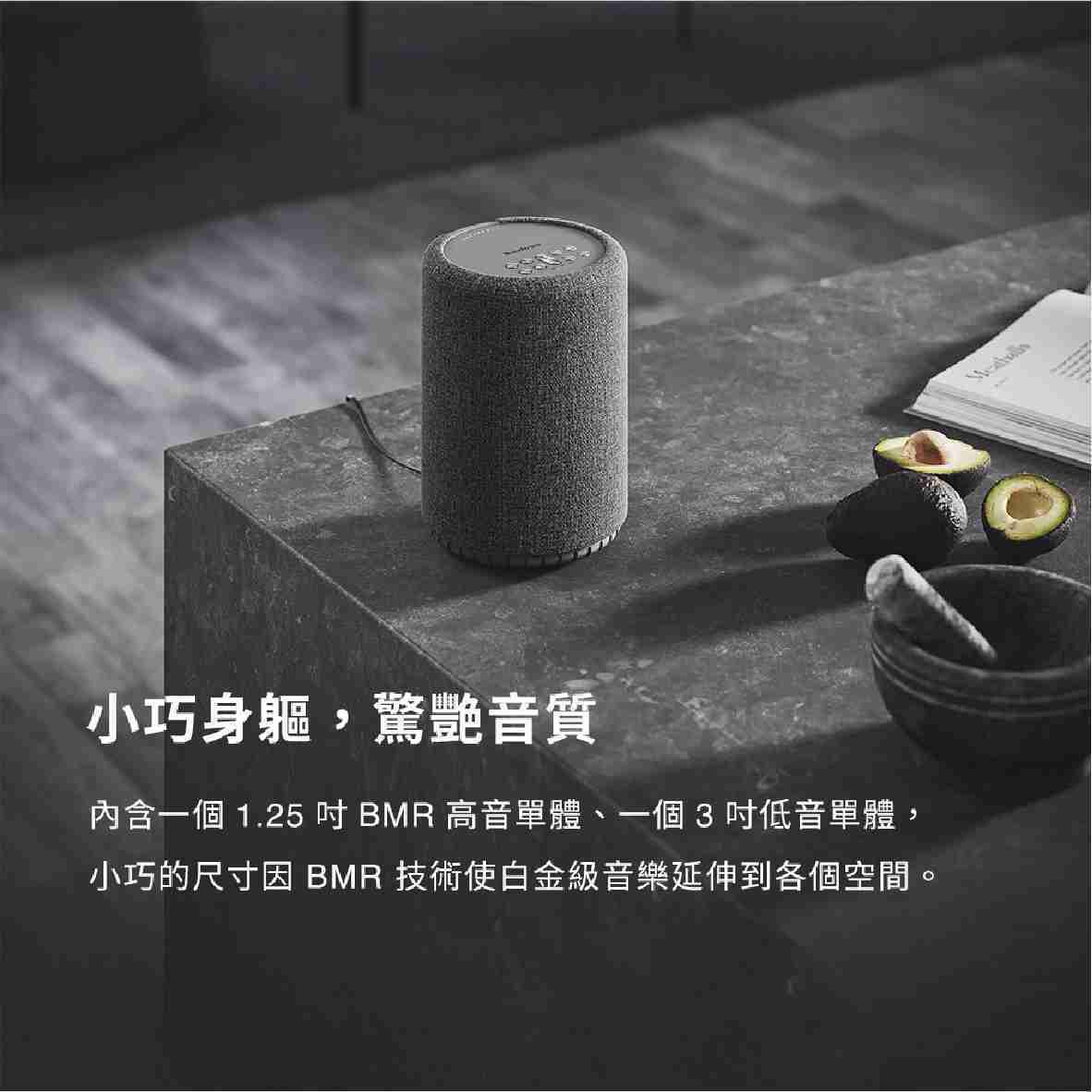 Audio Pro A10 MKII 黑色 支援串流 多樣連接 商業適用 Wifi 無線 藍牙喇叭 | 金曲音響