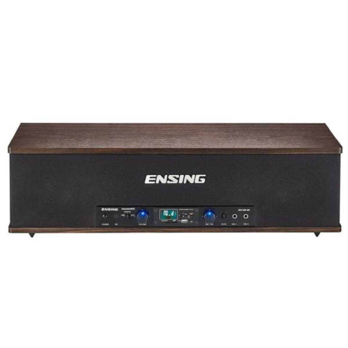 ENSING 燕聲 ESY-500SB 藍芽+MP3+FM 頂級 卡拉OK 音響 擴音機 喇叭 | 金曲音響