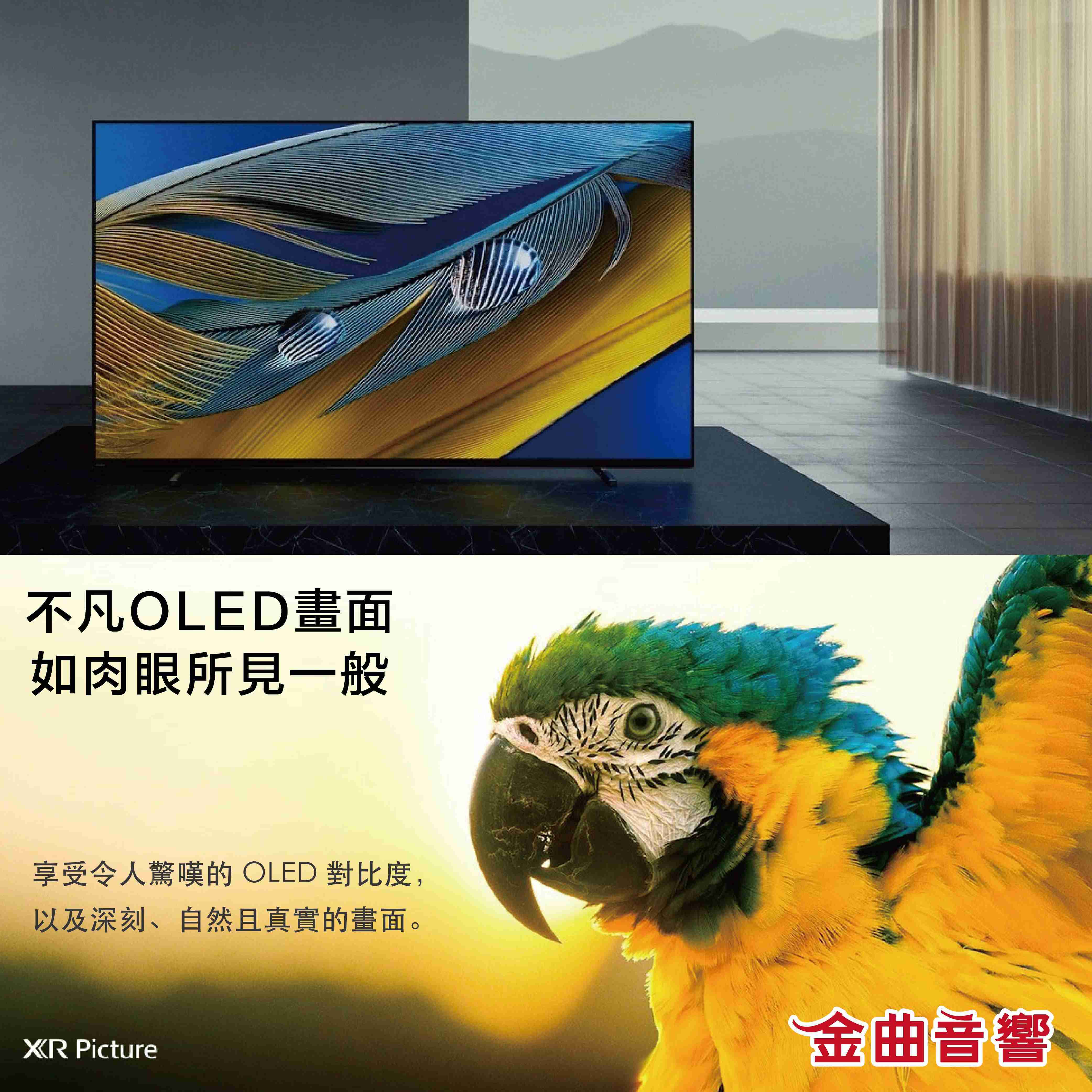 SONY 索尼 77吋 XRM-77A80J 8K XR A80J 電視 2021 | 金曲音響