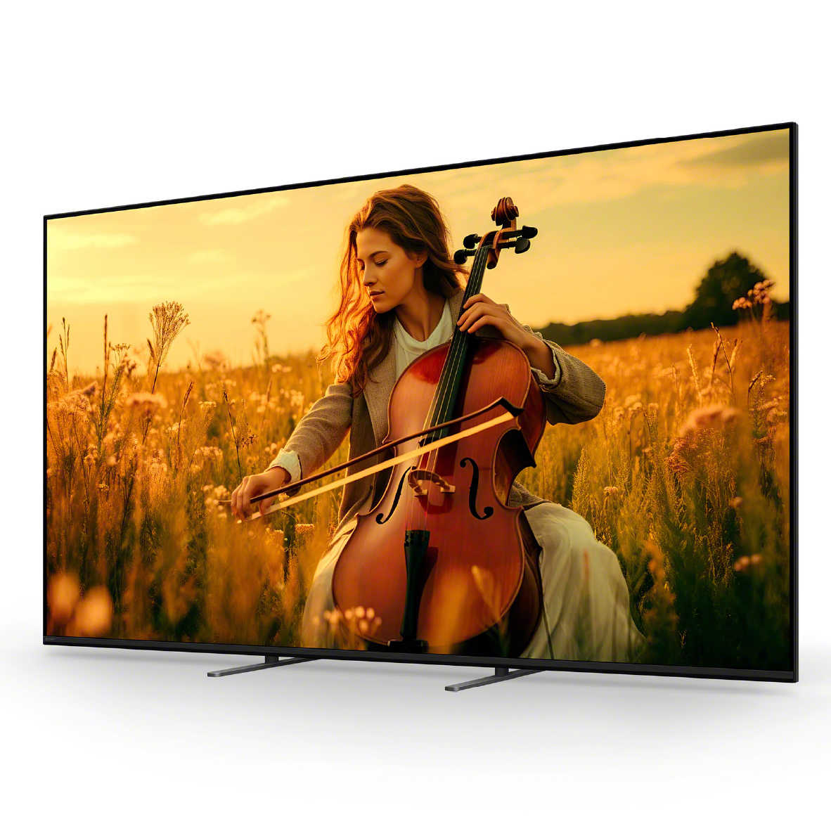 SONY 索尼 Y-65XR50 65吋 串流服務 杜比音訊 LCD 液晶 顯示器 電視 2025 | 金曲音響