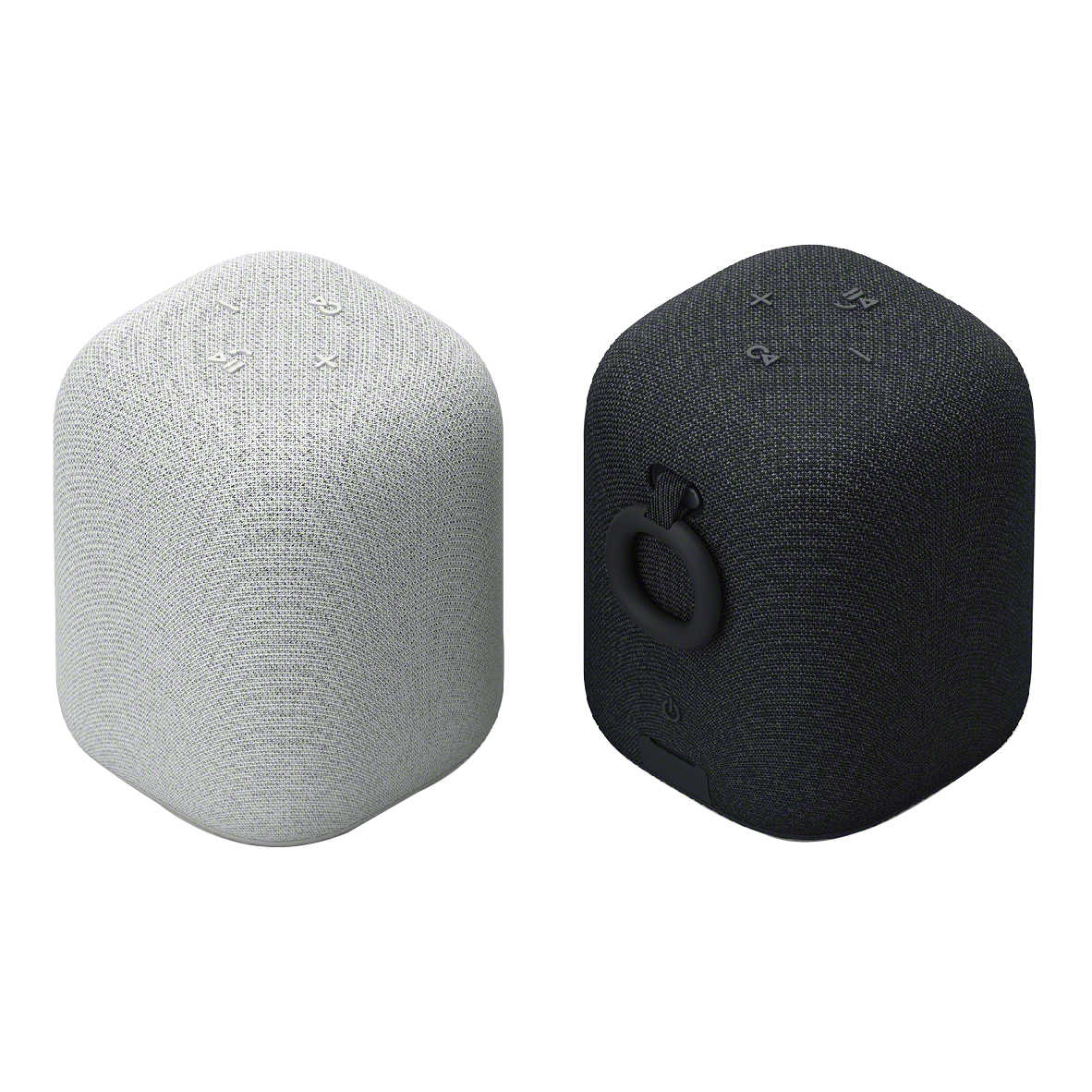 SONY 索尼 SRS-LS1 LinkBuds Speaker 自動切換 無線 藍牙揚聲器 音響 | 金曲音響