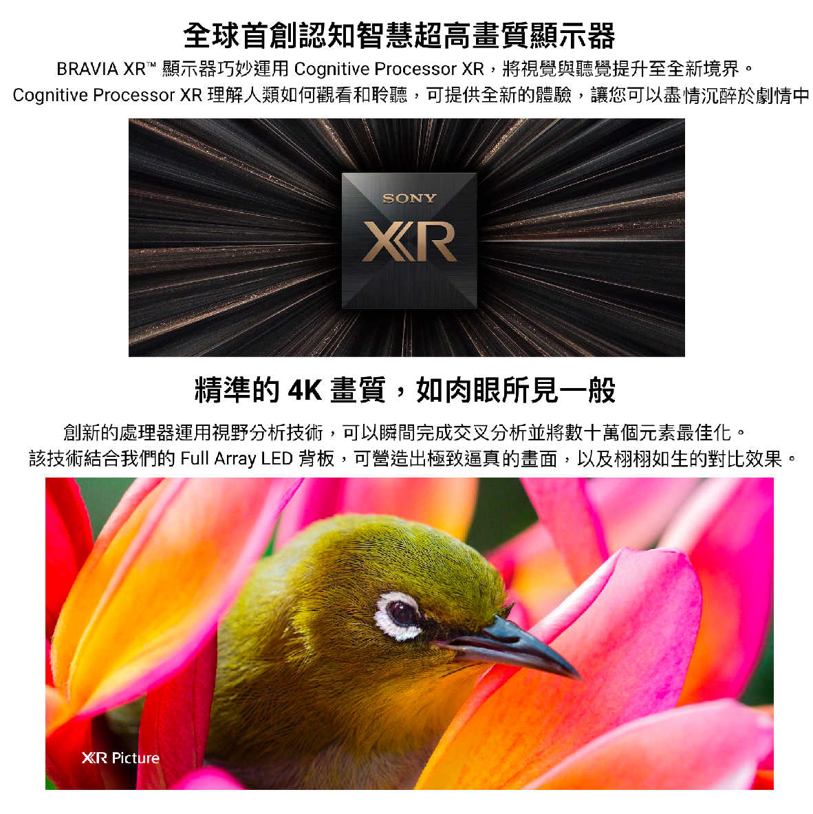 SONY 索尼 XRM-50X90J 50吋 直下式 4K HDR LCD 電視 2021 | 金曲音響