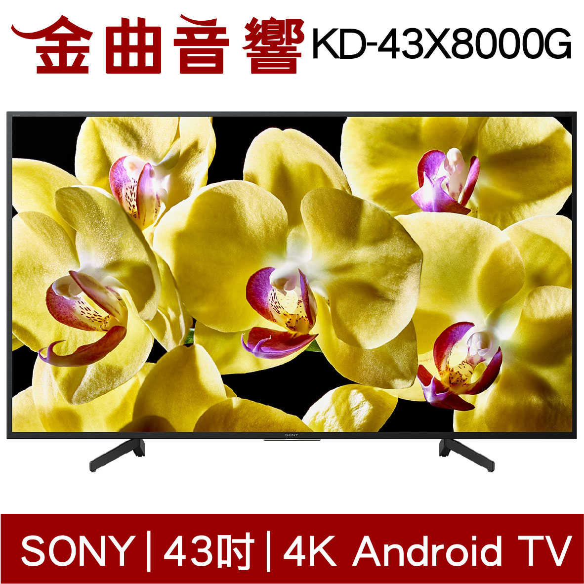 SONY 索尼 KD-43X8000G 43吋 電視 4K HDR | 金曲音響