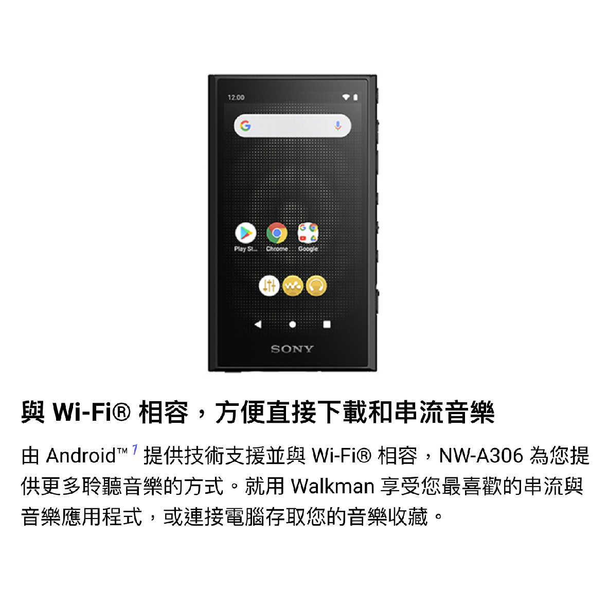 SONY 索尼 NW-A306 Walkman 32GB 數位 音樂播放器 MP3 隨身聽 | 金曲音響