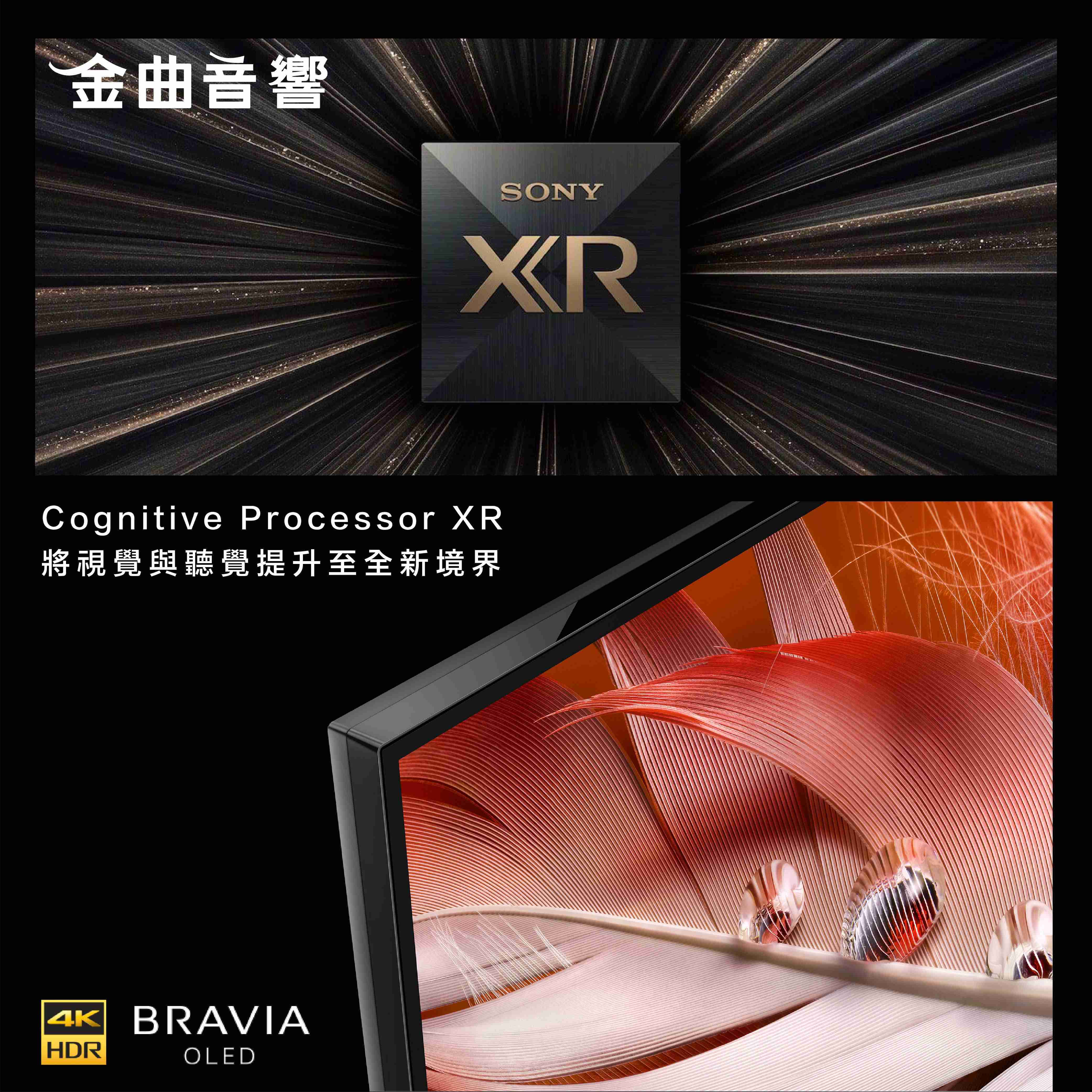 SONY 索尼 50吋 XR-50X90J 美規 4K 全陣列LED XR 液晶 電視 2021 | 金曲音響
