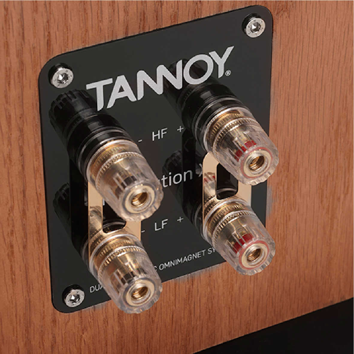 英國 TANNOY Revolution XT 6F 兩色可選 雙同軸單體 落地式喇叭 | 金曲音響