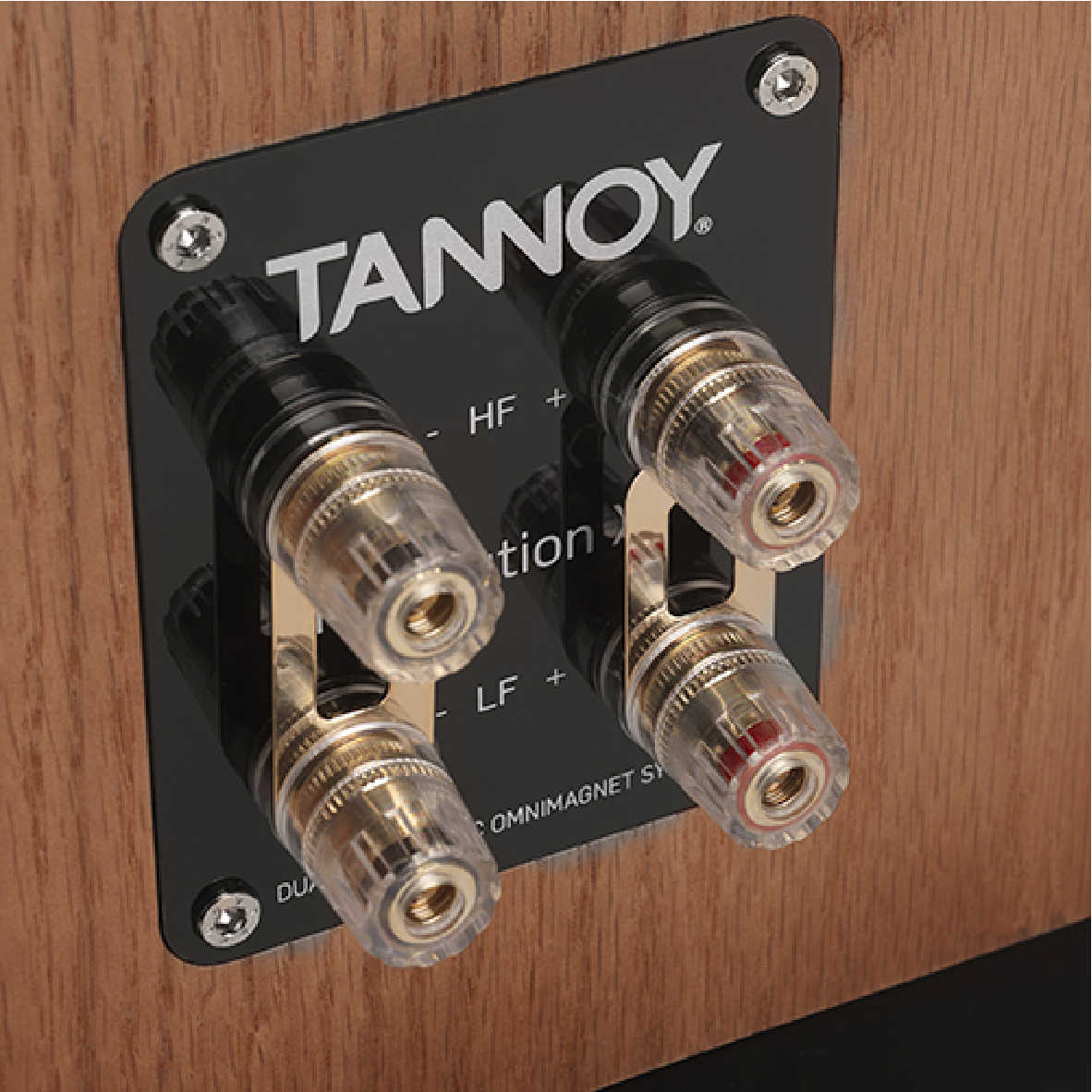 英國 TANNOY Revolution XT Mini 兩色可選 雙同軸單體 書架喇叭 | 金曲音響