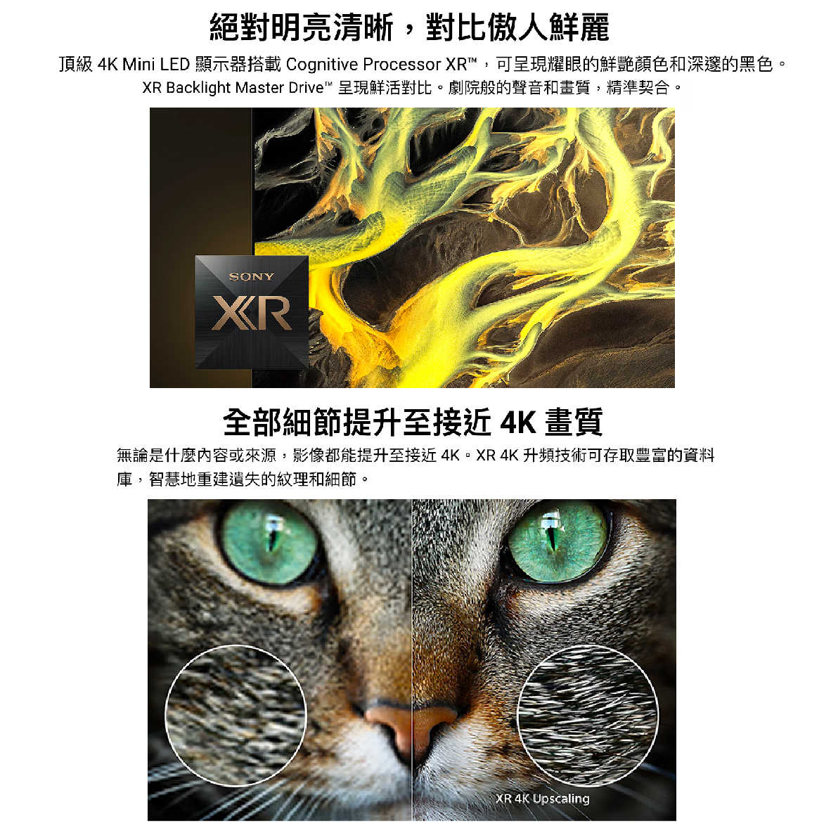 SONY 索尼 XRM-65X95L 65吋 4K HDR LCD 直下式 LED 電視 2023 | 金曲音響