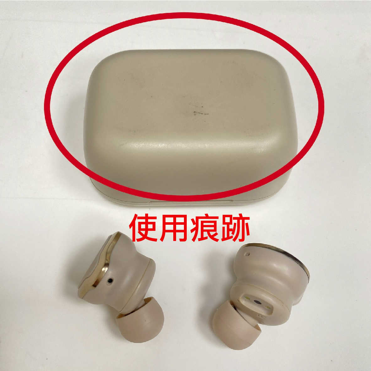 【福利機A組】Cleer Ally Plus II 灰色 主動降噪 長效續航 6麥克風 真無線 藍牙耳機 | 金曲音響