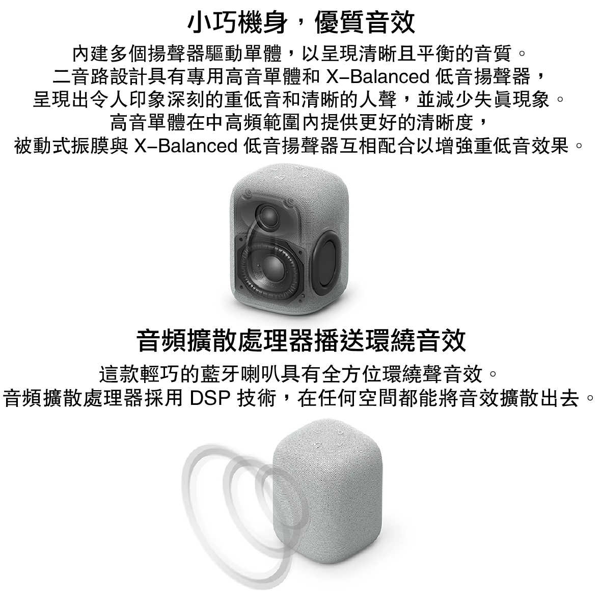 SONY 索尼 SRS-LS1 LinkBuds Speaker 自動切換 無線 藍牙揚聲器 音響 | 金曲音響