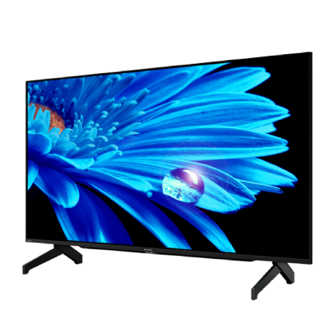 SHARP 夏普 4T-C55FK1X 55吋 4K HDR 馬來西亞製 智慧連網 液晶顯示器 | 金曲音響