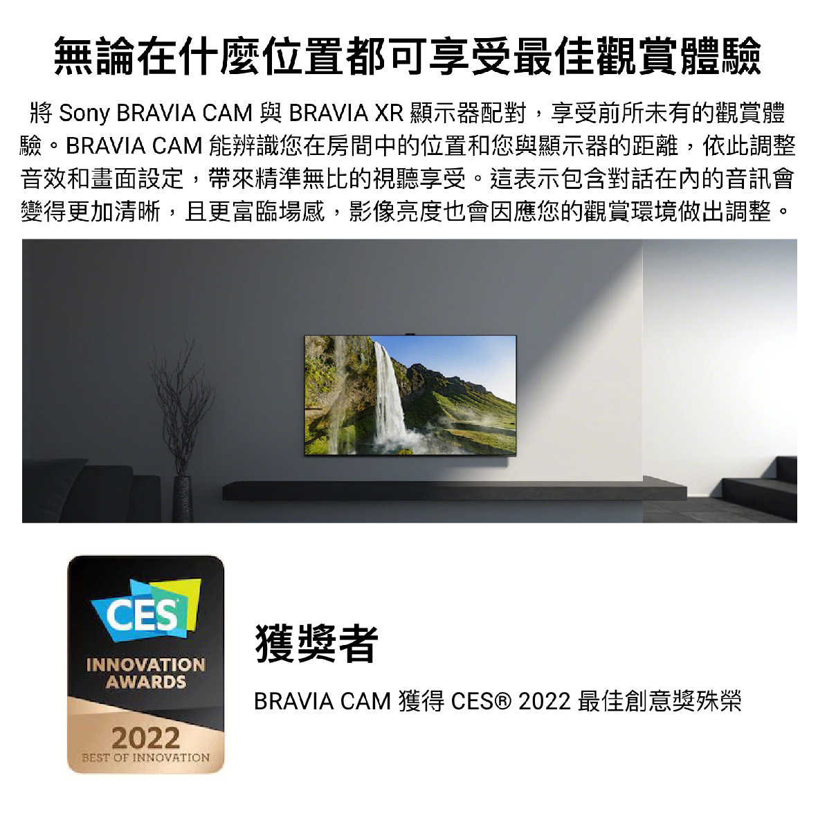 SONY 索尼 CMU-BC1 聲光感測 距離警示 手勢控制 自動省電 BRAVIA CAM 外接相機  | 金曲音響