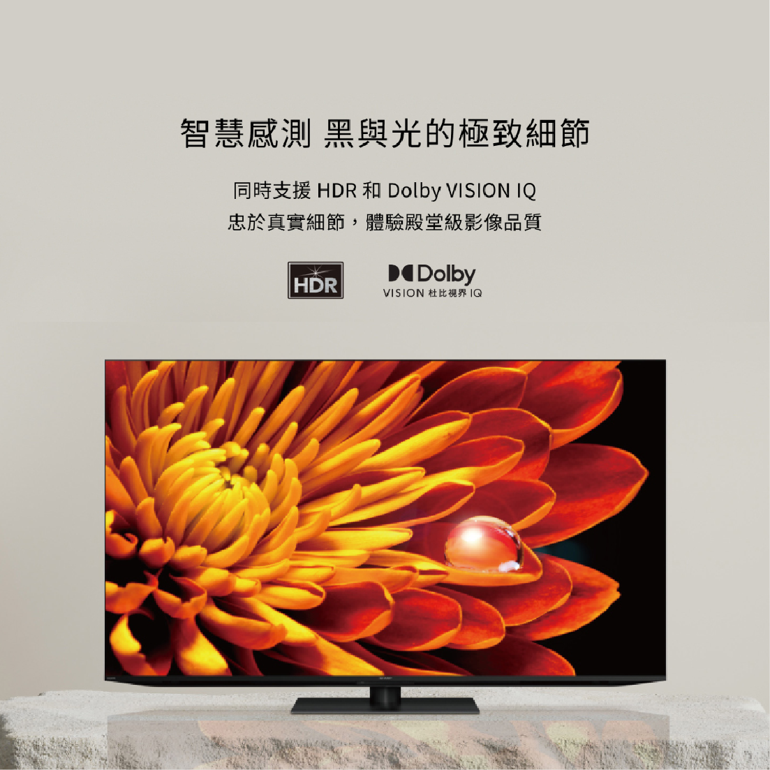 4T-C65FV1X & 4T-C75FV1X_info 1-5