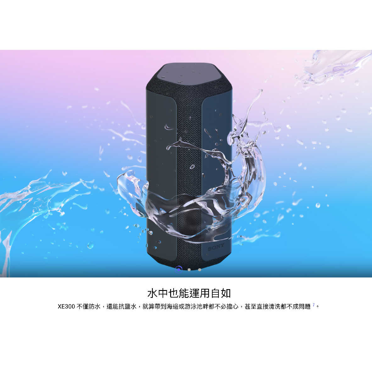 SRS-XE300_工作區域 1 複本 9