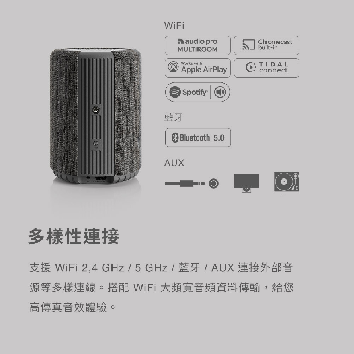 Audio Pro A10 MKII WiFi_info - 6