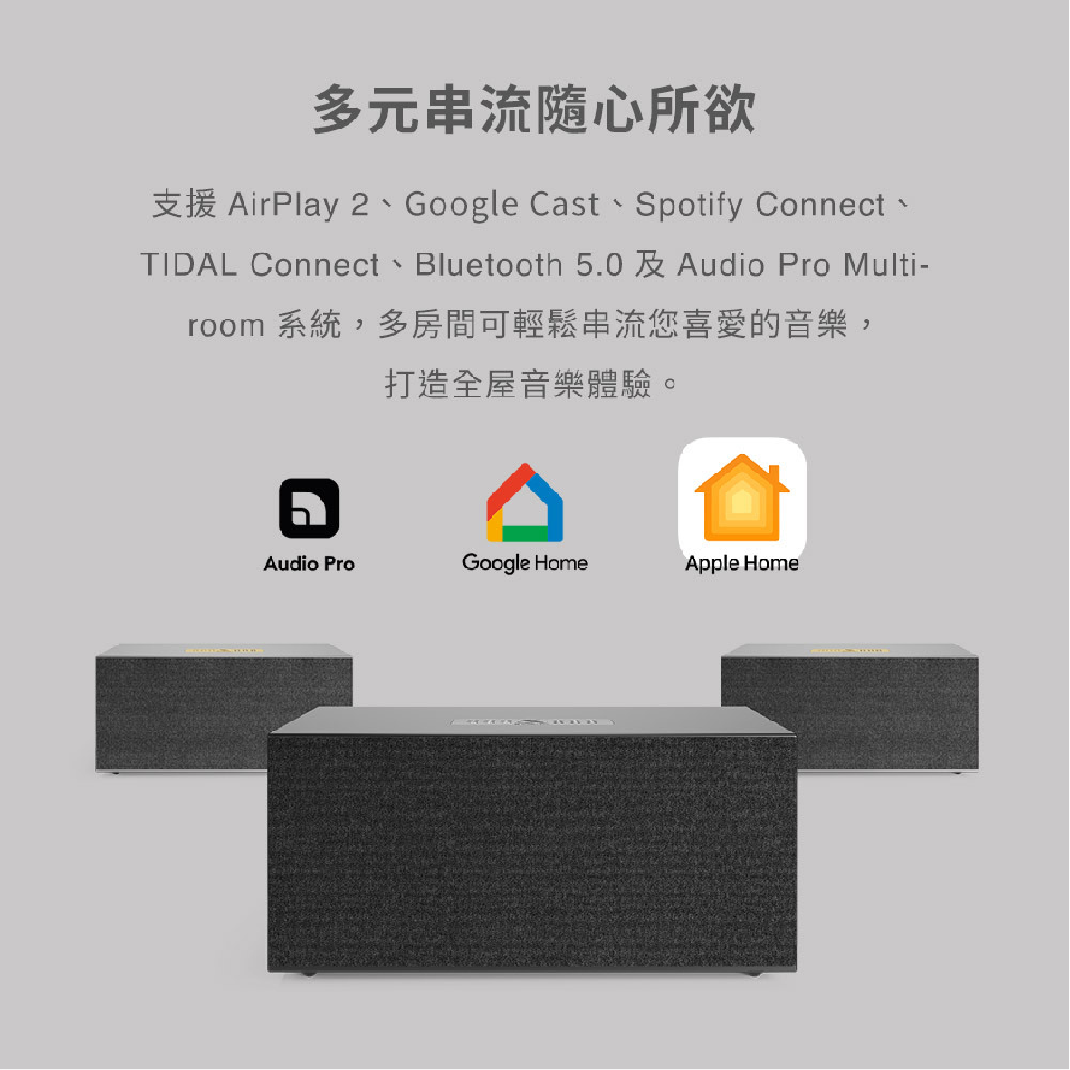 Audio Pro C20 WiFi_info - 5