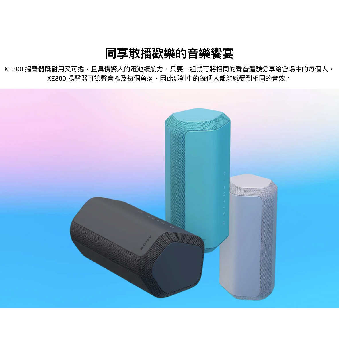 SRS-XE300_工作區域 1 複本 8