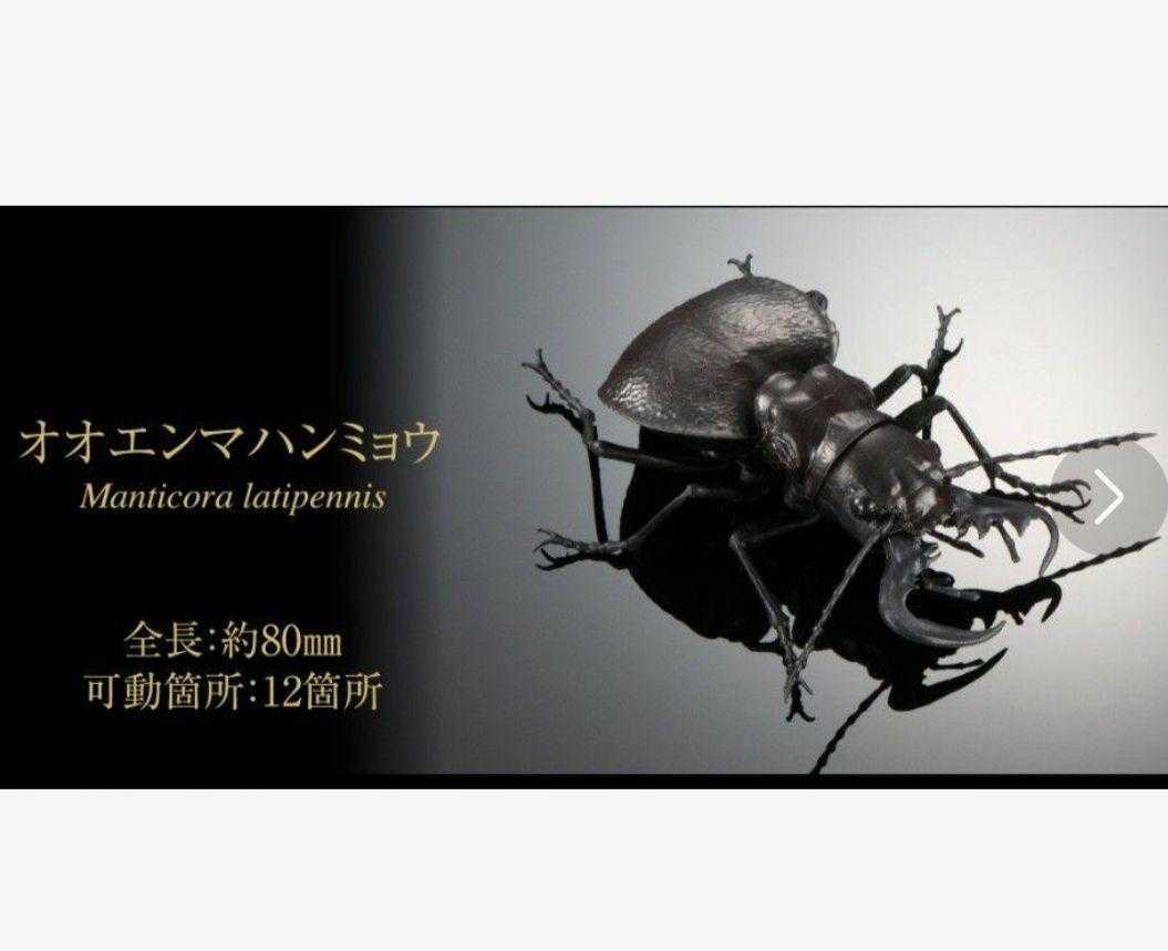 萬代 轉蛋 扭蛋 生物大圖鑑 鍬形蟲05 巨虎甲蟲 現貨日版