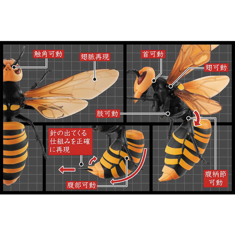 玩具研究中心  萬代 胡蜂 環保扭蛋 P2 姬虎頭蜂 黃邊胡蜂 茶色雀蜂 3款1組 現貨日版