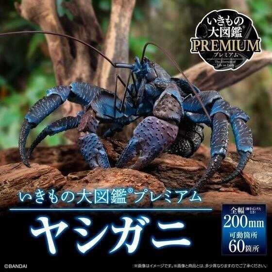 萬代 魂商店 生物大圖鑑 Premium 椰子蟹 10月預購代理0725W