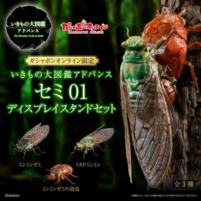 玩具研究中心 轉蛋 扭蛋 生物大圖鑑 蟬01 三種套組 附展示支架 8月預購